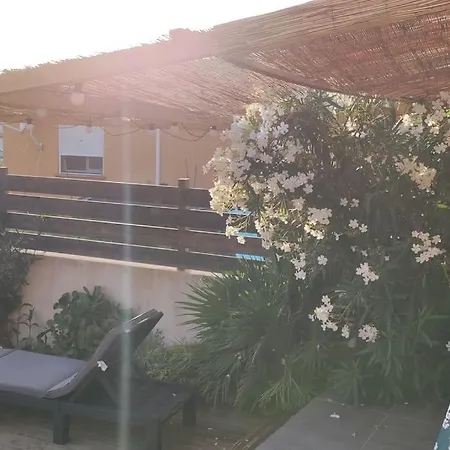 Vakantiehuis Tiny House Avec Piscine A Figari (Corsica)