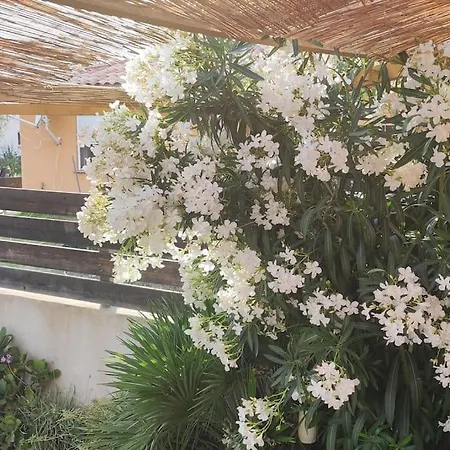 Tiny House Avec Piscine A Figari