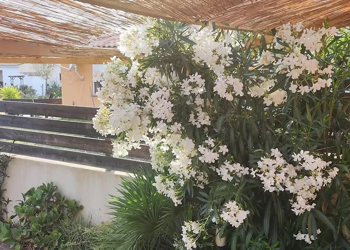 Tiny House Avec Piscine A